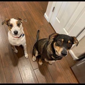 Meet your Posher, Paula